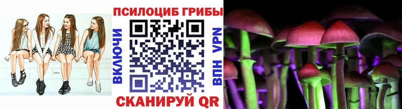 Галлюциногенные грибы GOLDEN TEACHER  купить закладку  Краснознаменск 