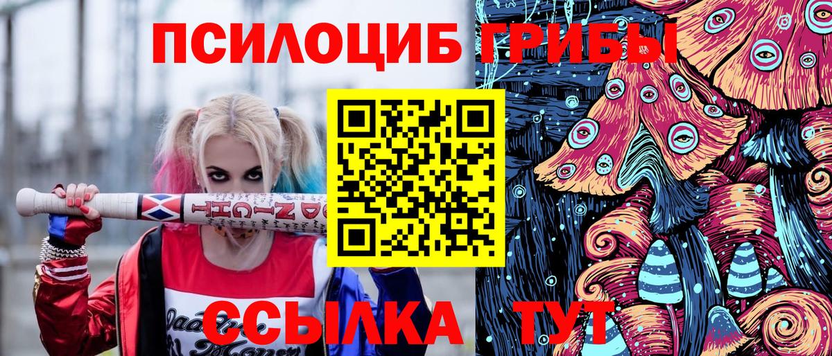 Галлюциногенные грибы мицелий  Краснознаменск 