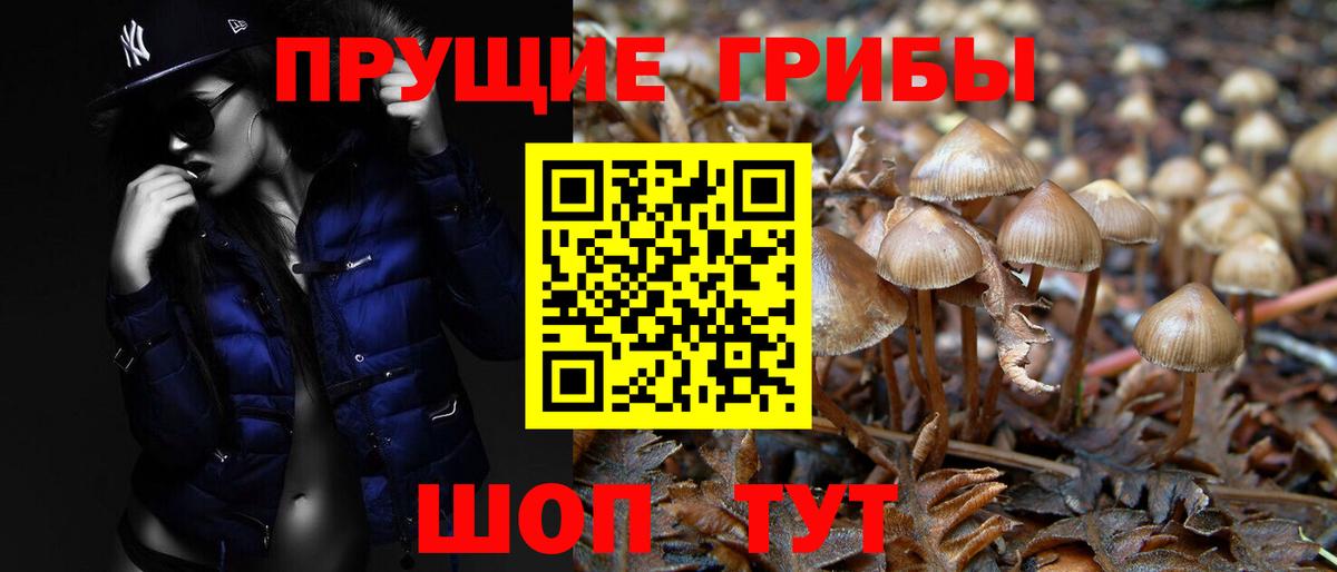 Галлюциногенные грибы Magic Shrooms Краснознаменск