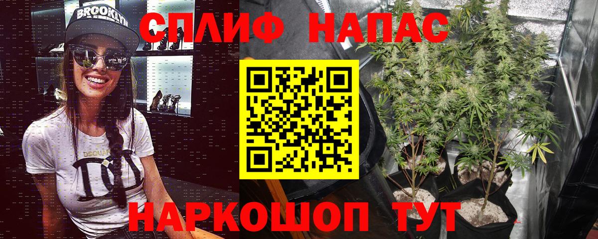Канабис White Widow Краснознаменск
